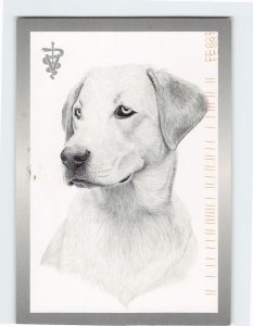 M-178624 Dog Picture/Art Print Brentwood Veterinary Clinic Calgary Canada