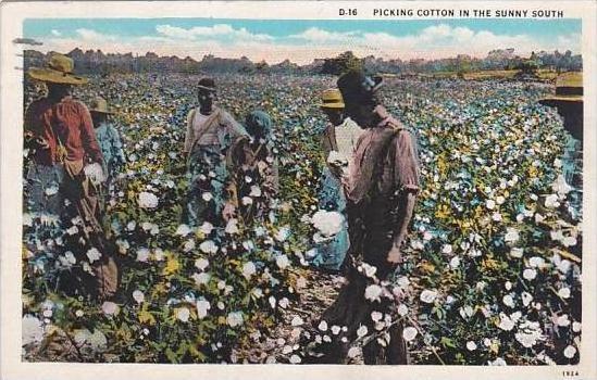 Black Americana Picking Cotton In The Sunny South 1930