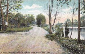 Winding Road - Beardsley Park - Bridgeport CT Connecticut DB
