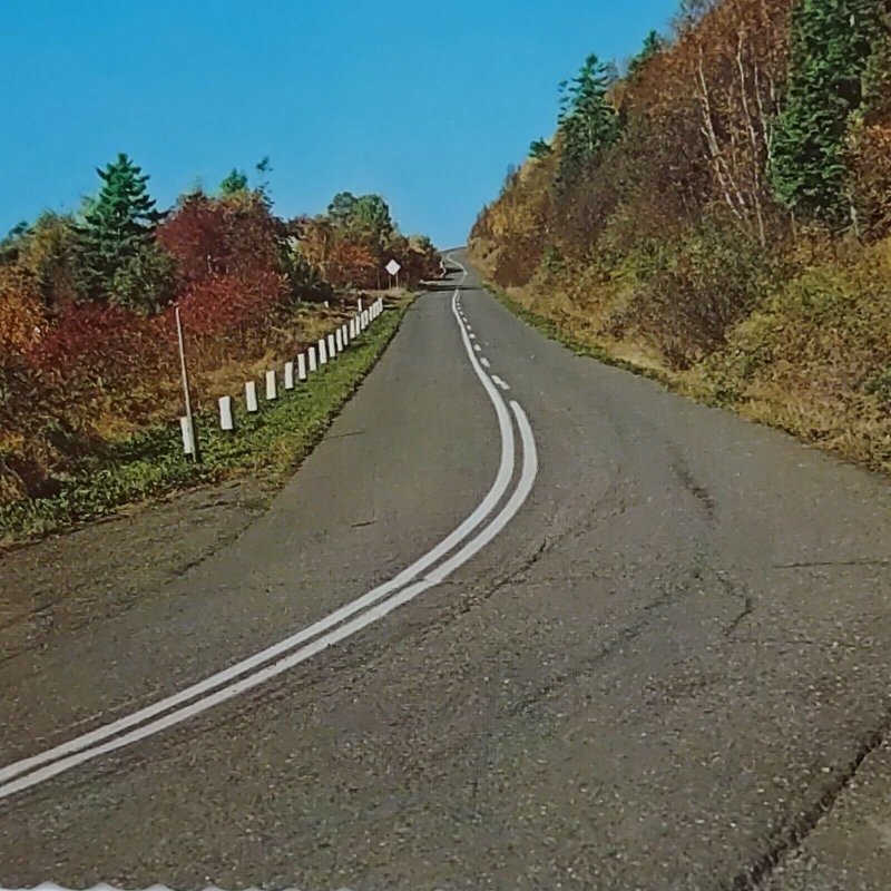 Postcard Carleton Quebec Canada 1987 Autumn Fall Drive Landscape Diecut 2101