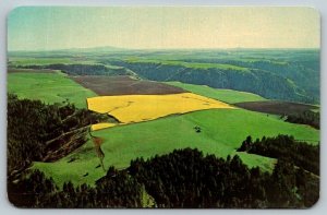 Camas Prairie Farm Pattern  Nez Perce  Idaho  Postcard