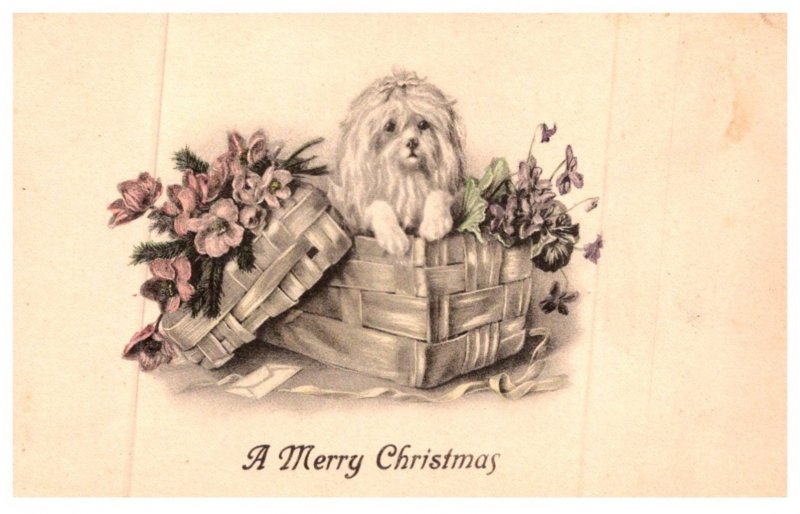 Dog ,  dog in basket with flowers , Merry Christmas