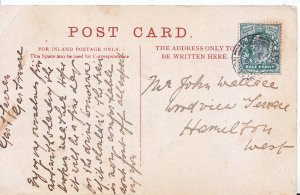 Genealogy Postcard - Family History - Wallace - Hamilton West    U4115