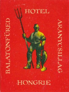 Hungary Balatonfured Hotel Aranycsillag Vintage Luggage Label sk3825