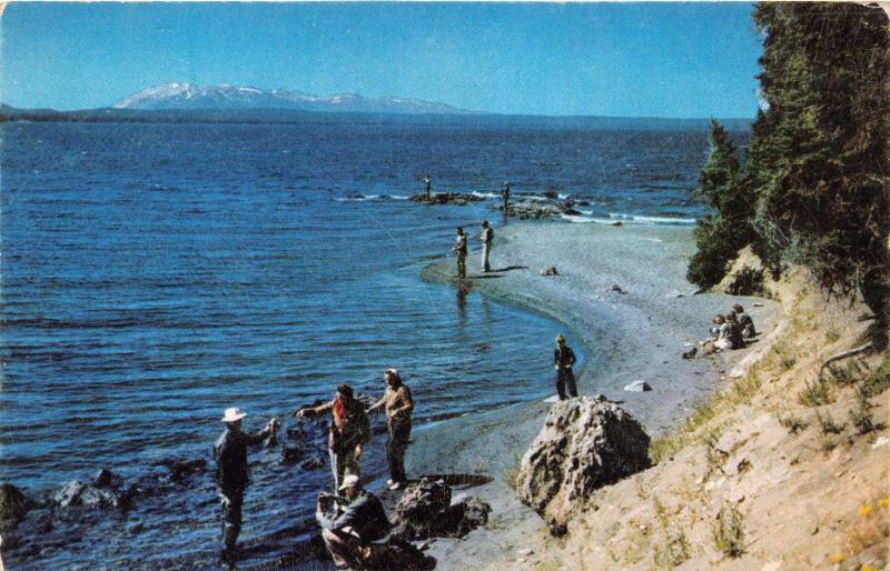 YELLOWSTONE PARK WYOMING FISHING FOR CUTTHROATS ALONG SHORES OF LAKE POSTCARD