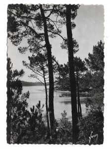 France Lac Marin Hossegor Landes View Thru Pines YVON 4X6 Real Photo Postcard