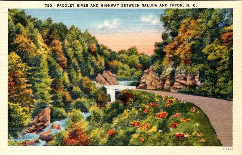 Postcard HIGHWAY SCENE Between Saluda & Tryon North Carolina NC AL1471