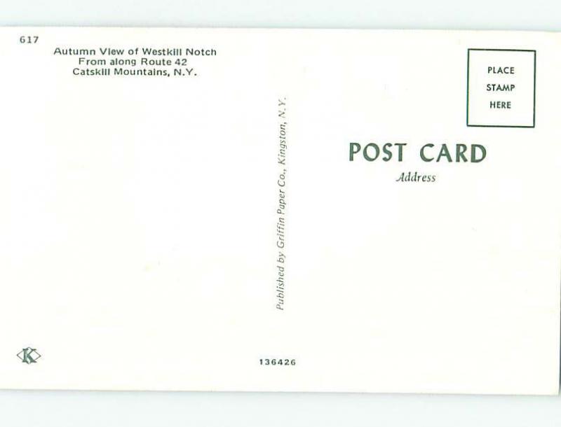 Pre-1980 CATSKILL MOUNTAINS Kingston & Poughkeepsie New York NY hJ6069