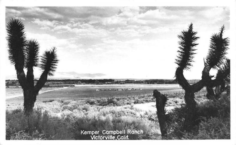 RPPC, Victorville, CA California  KEMPER CAMPBELL RANCH~Bird's Eye View Postcard