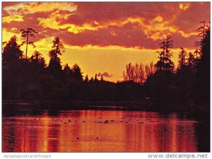 Canada Lost Lagoon Stanley Park Vancouver British Columbia