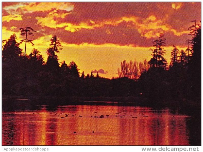 Canada Lost Lagoon Stanley Park Vancouver British Columbia