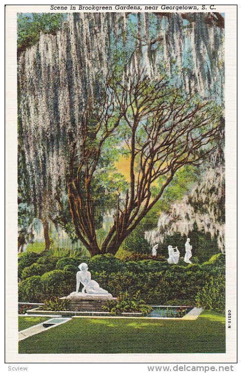 Scene In Brookgreen Gardens, Near GEORGETOWN, South Carolina, 1930-1940s