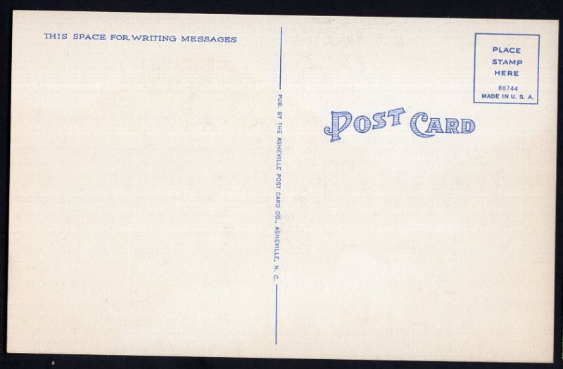 Virginia ~ U.S. Route 60 near BUENA VISTA - LINEN