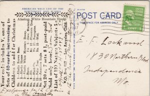 Alaskan White Mountain Sheep c1947 Postcard F98