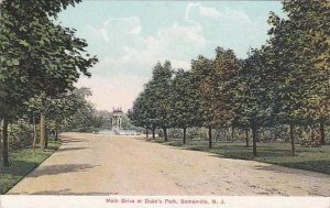 New Jersey Somerville Main Drive At Dukes Park