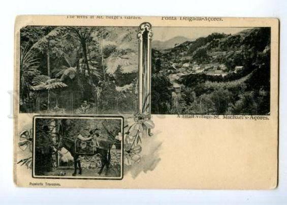 171990 PORTUGAL Ponta Delgada Acores Vintage collage postcard