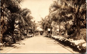 Real Photo Postcard Mission Cliffs Garden Park in San Diego, California~134132