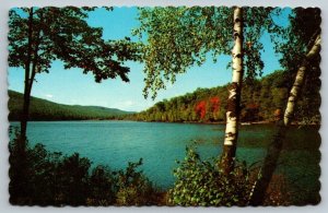 Maine Vacationland  Autumn  Postcard