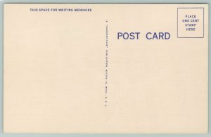 Texas~”Old Tex” 8 Ft Long Texas Longhorn~Vintage Postcard