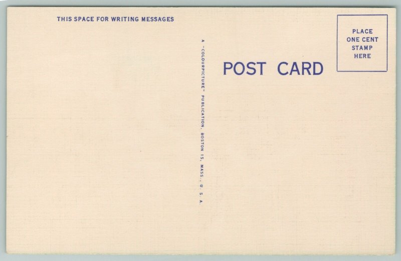 Texas~”Old Tex” 8 Ft Long Texas Longhorn~Vintage Postcard