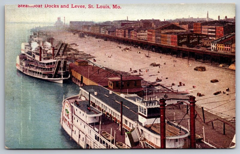 St Louis MO~Birdseye Steamboat Docks & Levee~Warehouses~City Foggy Beyond~c1910