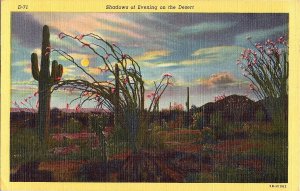 Shadows of Evening on the Desert Tucson AZ Linen Postcard 1949