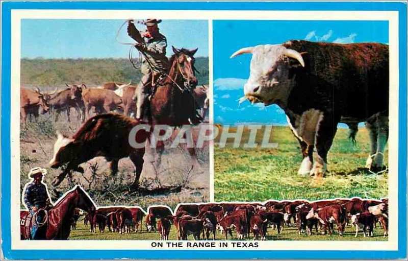 Old Postcard On The Range in Texas