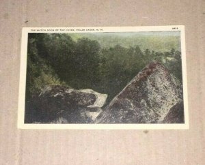 VINTAGE POSTCARD UNUSED WATCH DOGS OF THE POLAR CAVES  N.H.