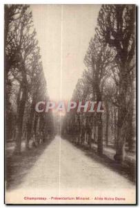 Old Postcard Champrosay Preventorium Minorets Allee Notra Dame