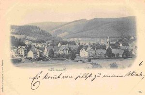 Bad Herrenalb Panorama Black Forest Germany 1905c postcard