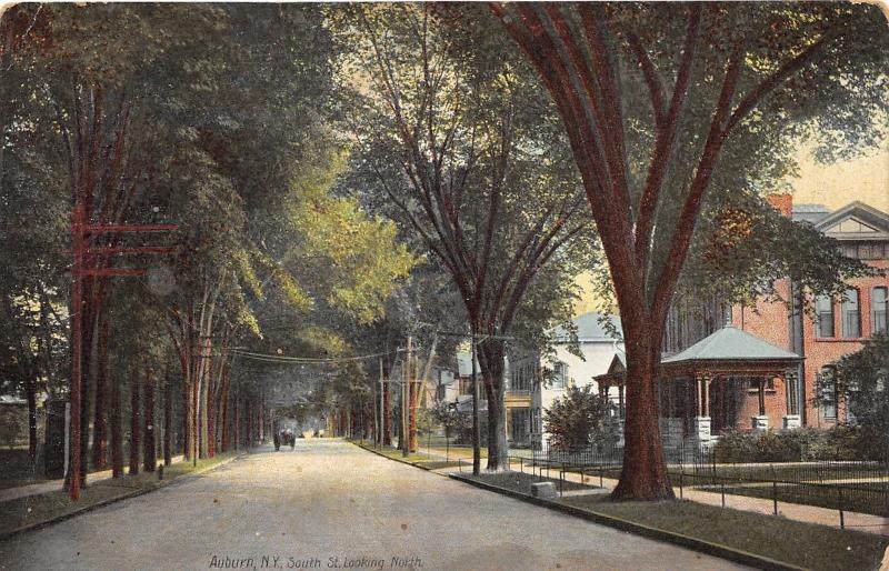 Auburn New York~South Street Looking N~Houses-Powerlines-Trees~Horse Wagon~1910