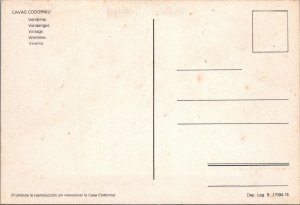 Spain Postcard - Cavas Codorniu, Vintage, Picking Grapes    RR23373