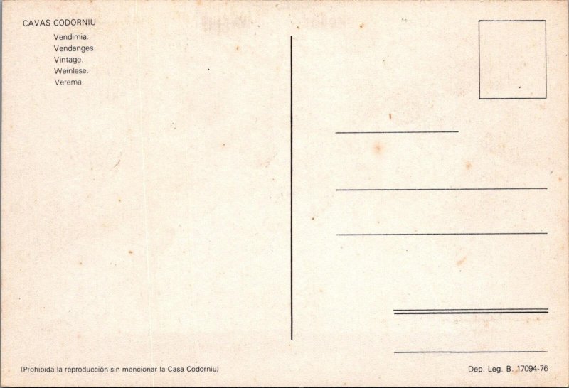 Spain Postcard - Cavas Codorniu, Vintage, Picking Grapes    RR23373