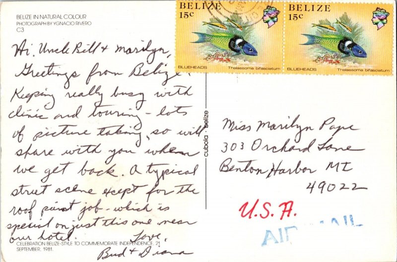 BELIZE Continental Postcard Stamps CA10