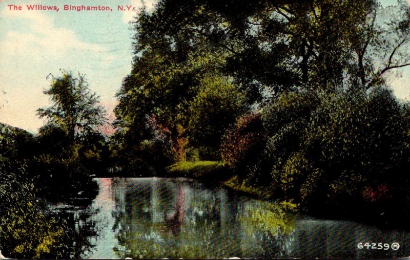 New York Binghamton The Willows 1911