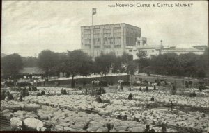Norwich UK Castle & Cattle Market c1910 Postcard