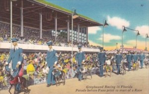 Greyhound Racing In Florida Parade Before Fans Prior To STart Of A Race