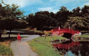 HARRISBURG PENNSYLVANIA JAPANESE BRIDGE~ITALIAN LAKE POSTCARD 1959