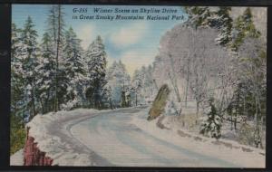 Great Smoky Mountains Nat Park Skyline Drive Winter colour PC  unused