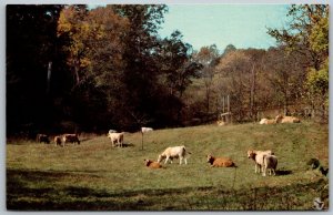 Blue Rock Ohio 1984 Postcard McNutt Farm Outdoorsman Lodge