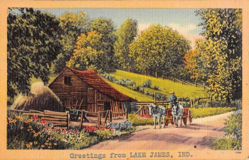 Lake James Indiana Cabin Roadway Greeting Antique Postcard K77164