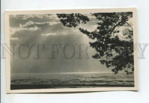 443278 Estonia Narva Joesuu Beach On the Sunset Vintage photo postcard