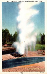 Yellowstone National Park Riverside Geyser Curteich