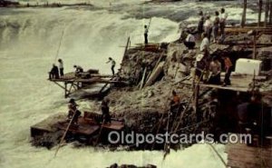 Indians Netting Fish - Columbia River, Oregon OR Postcard