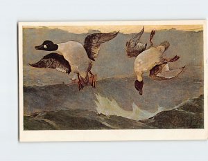 Postcard Right And Left By W. Homer, National Gallery Of Art, Washington, D. C.