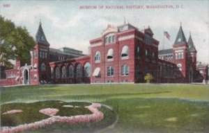 Washington D C Museum Of Natural History 1908