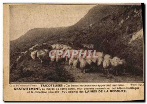 Old Postcard Advertisement Knitters Knitting Redoubt Sheep