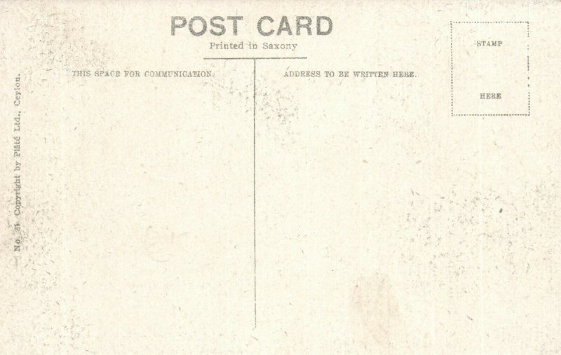 PC CPA SRI LANKA, CEYLON, RICKSHAW AND BULLOCK HACKERY, Postcard (b13653)