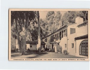 Postcard Umbrageous Eucalypti Shelter The West Wing, Santa Barbara Biltmore, CA