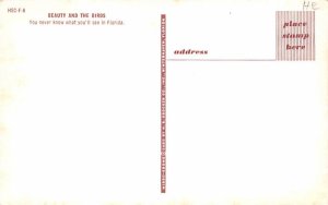 Beauty and the Birds Misc, Florida Postcard